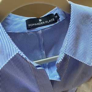 Tuckernuck Pinstripe Dress